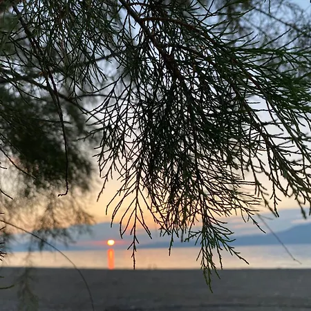 παγώνα, By The Sea Apartment